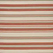 Farnaz Stripe (NCF4564-01)